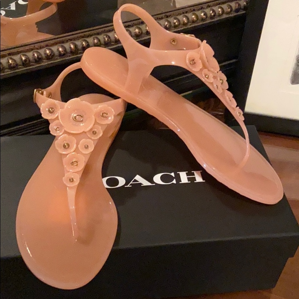 Light Pink Coach Sandals